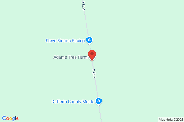Adams Tree Farm