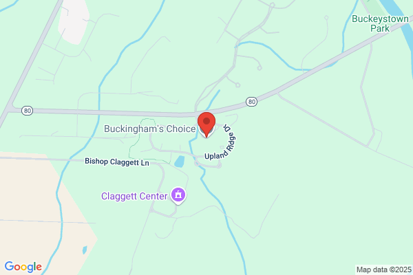 Buckingham's Choice