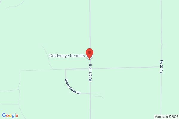 Goldeneye Kennels