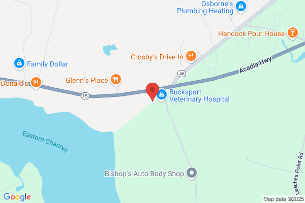 Bucksport True Value Hardware