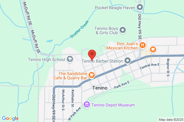Tenino Painting Company