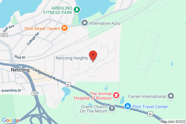 Netcong Heights