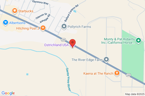 Ostrich Land