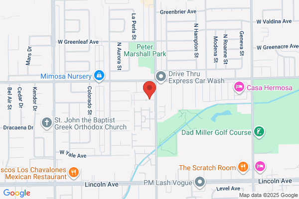 Springtree Apartments