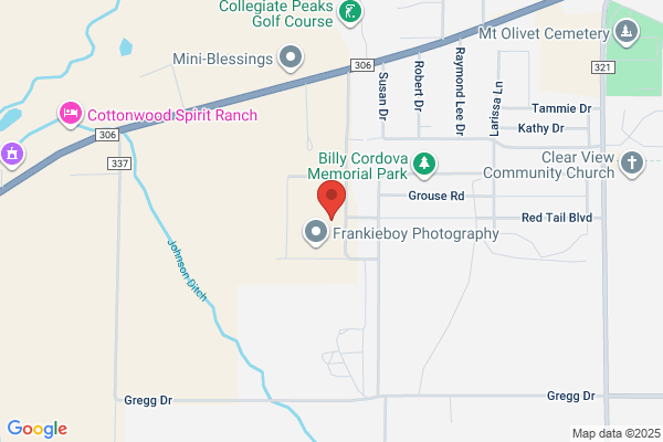 Red Deer Electric Inc