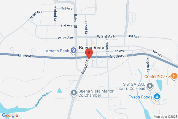 Buena Vista Gas N Go