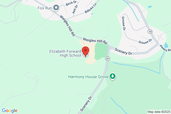 Elizabeth Forward School District, High School