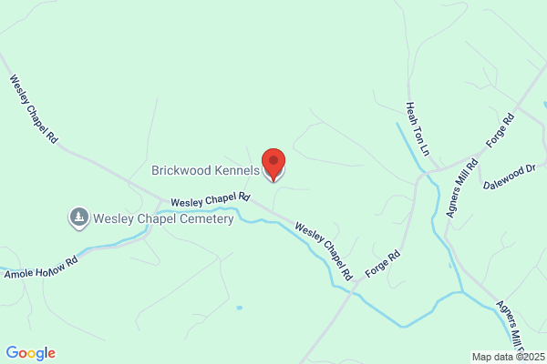 Brickwood Kennels