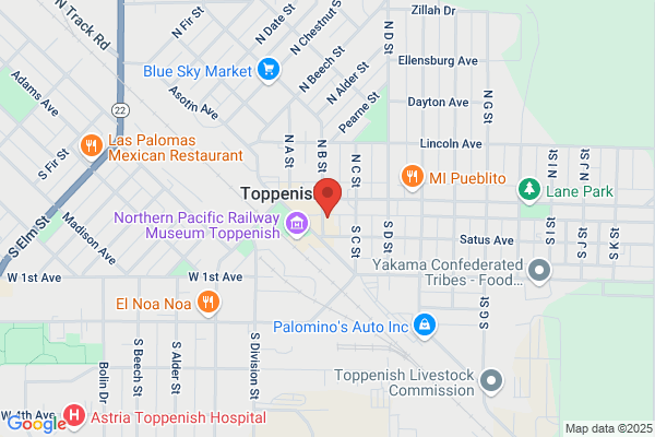 T & S Electronics