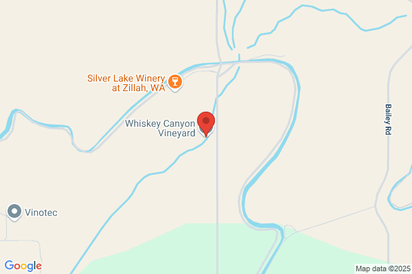 Whiskey Canyon Vinyard