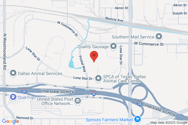 Dallas County Lepc