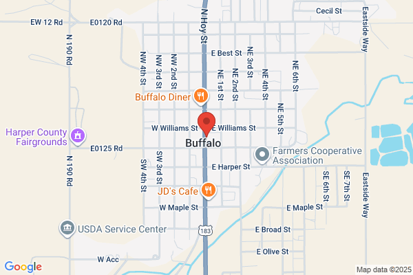 The Pioneer Agency of Buffalo Inc