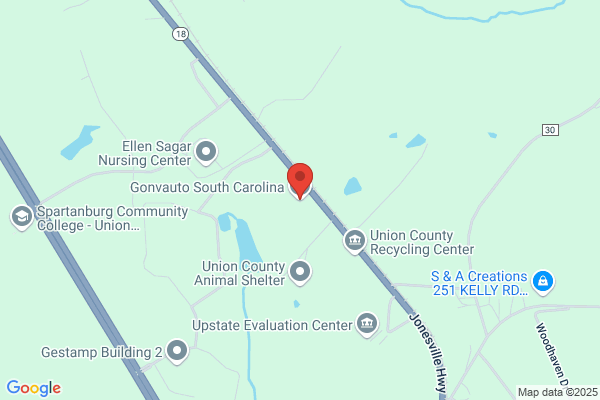 Gonvauto South Carolina, Llc