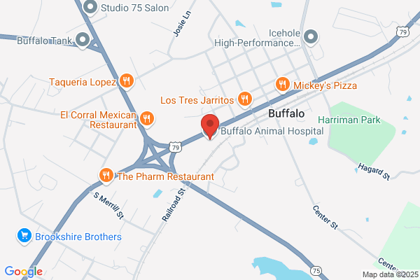 Buffalo Animal Hospital