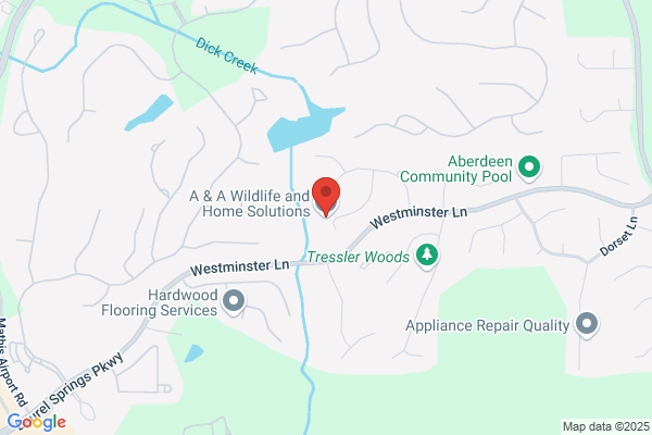 A & A Wildlife and Home Solutions