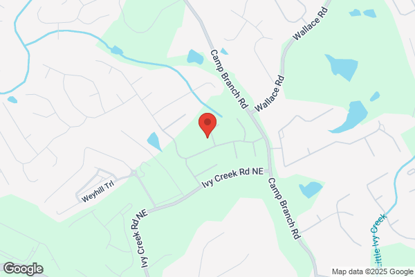 Georgia Burglary & Fire