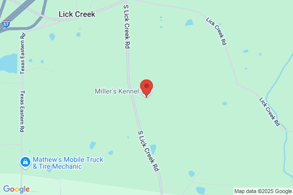 Miller's Kennel