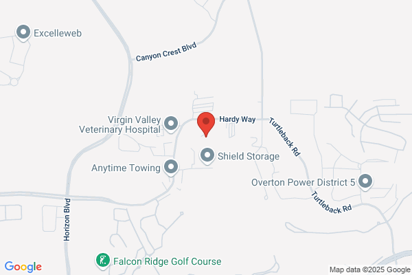 The Pool Shark LLC