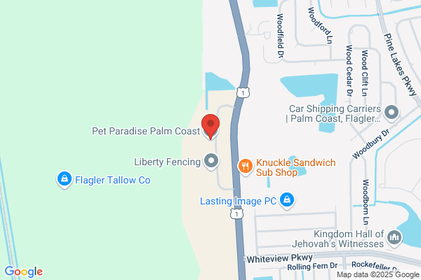 Pet Paradise