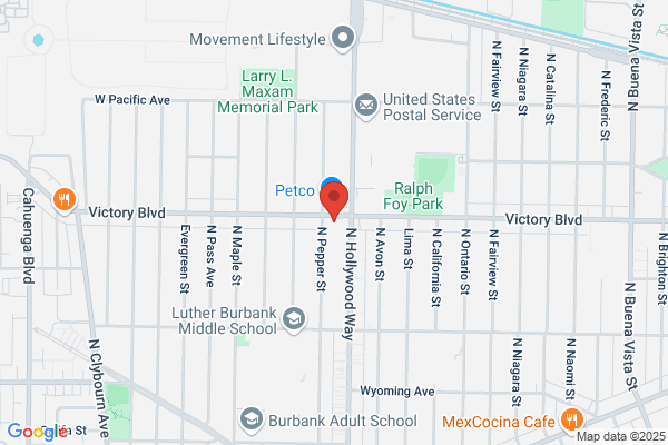 Mercury Computer Services