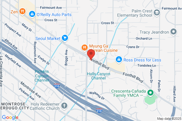 Low Charles C DDS Ms Inc