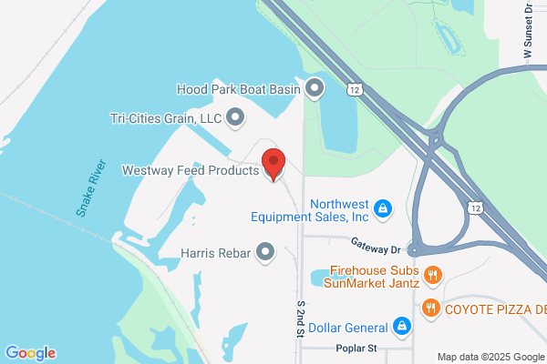 Excellent Foods Llc