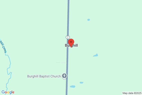 Storeyland Christmas Tree Farm