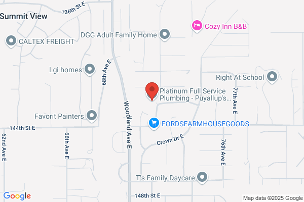 Platinum Plumbing Co