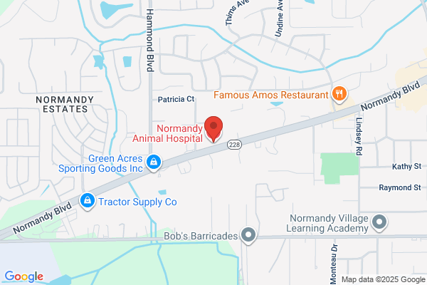 Normandy Animal Hospital