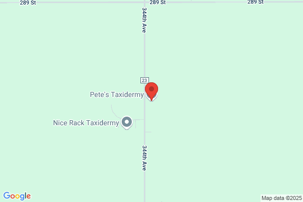 Pete's Taxidermy