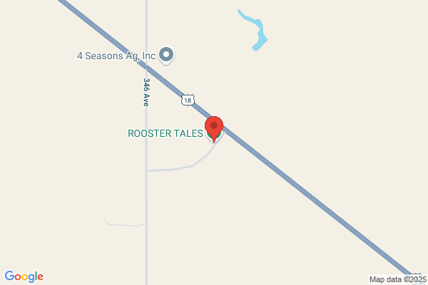 Rooster Tales