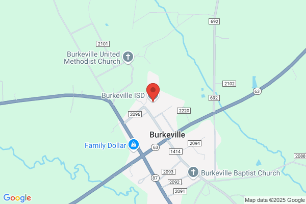 Schools, Burkeville, High School