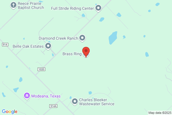 Brass Ring the