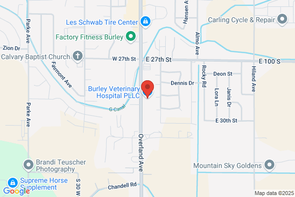 Burley  Veterinary Hospital PLLC