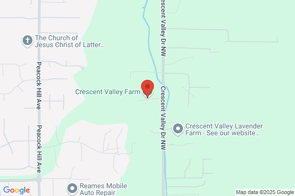 Crescent Valley Daycare