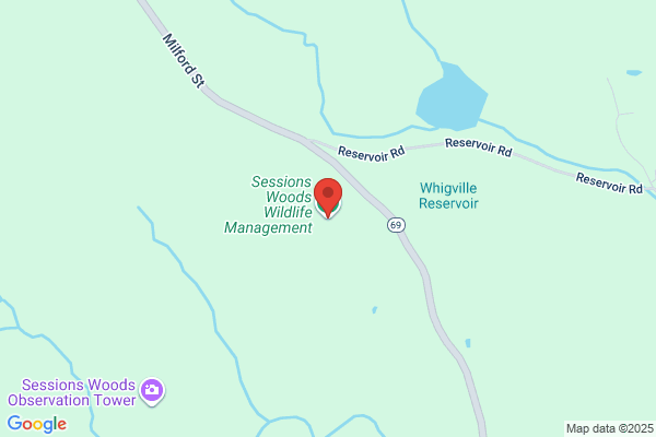 Connecticut State of, Environmental Protection Department, Water Management, Sessions Woods Wildlife Management Area