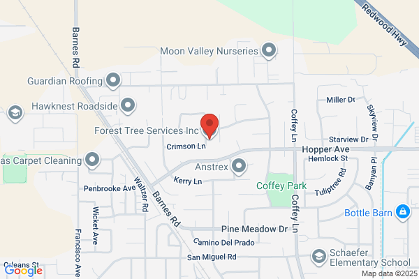Forestville Tree Service