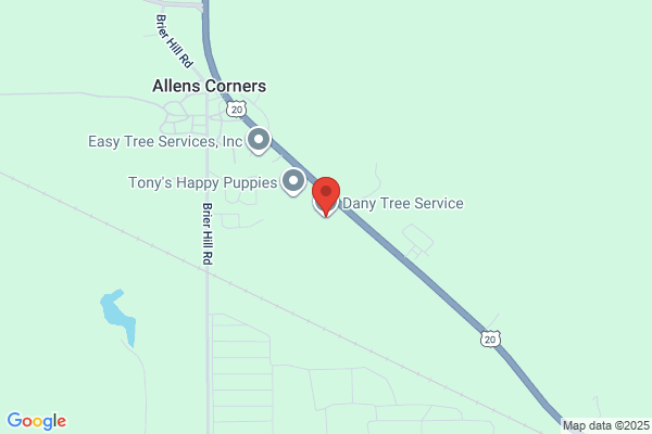 Dany Tree Service
