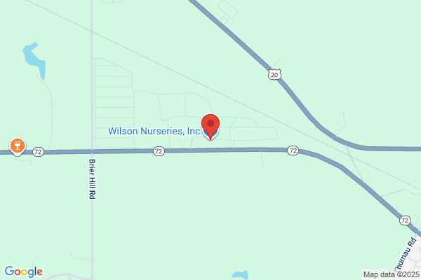Wilson Nurseries Inc