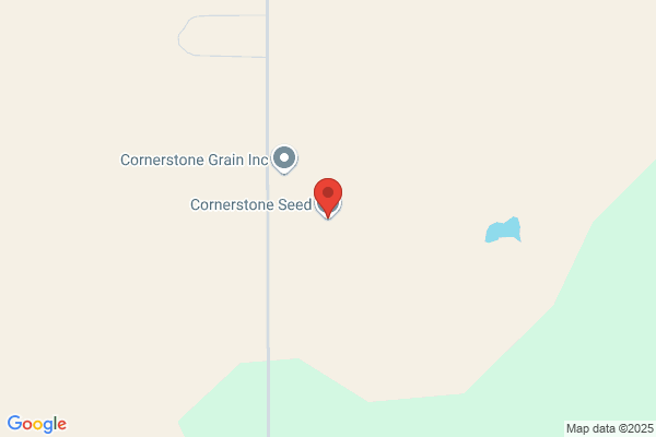 Cornerstone Seeds