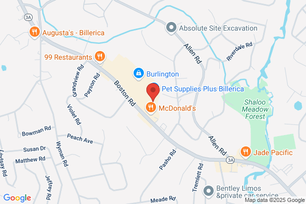 EXCEL DENTAL BILLERICA