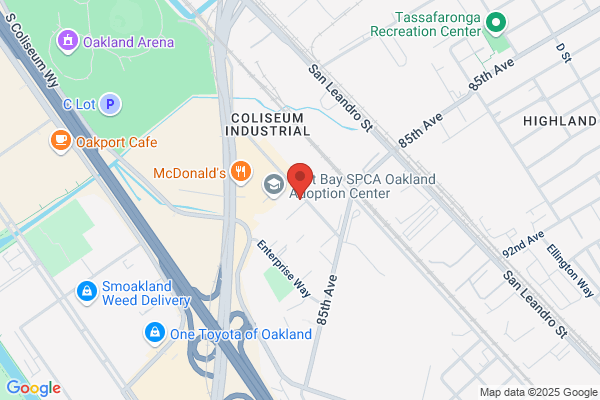 Vincent Electric Co Inc