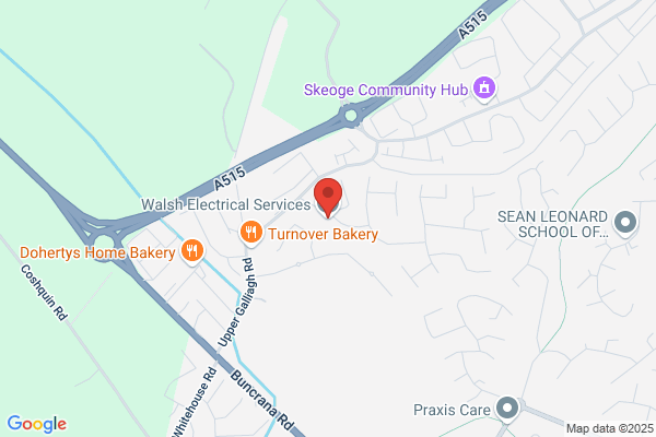 Walsh Electric Service