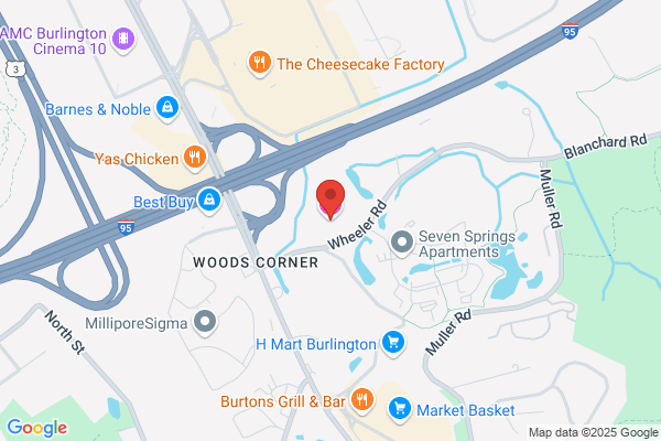 Hilton Garden Inn Boston-Burlington