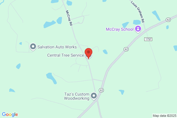 Central Tree Service