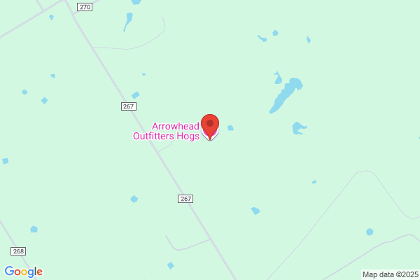 Arrowhead Outfitters Hogs LLC