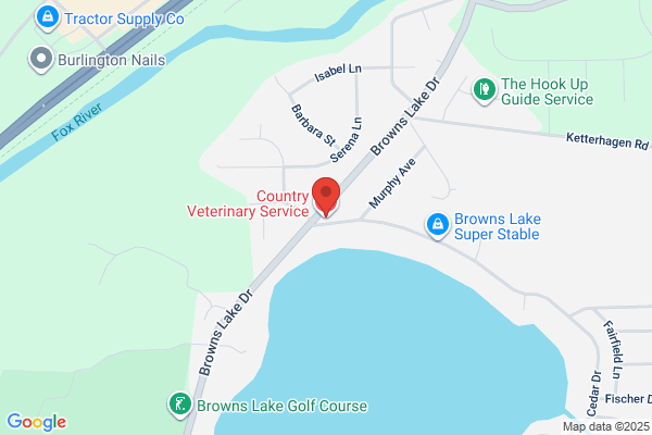 Country Veterinary Service
