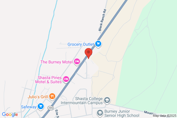 Connected Living Burney Services