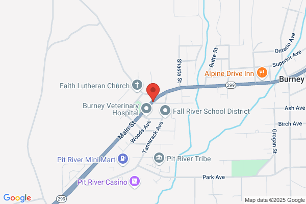 Intermountain News