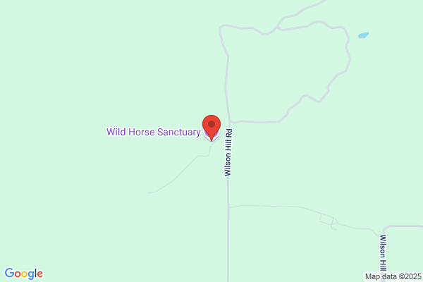 Wild Horse Sanctuary
